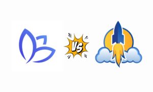 Blue Crocus Solutions vs The Social Media Pros